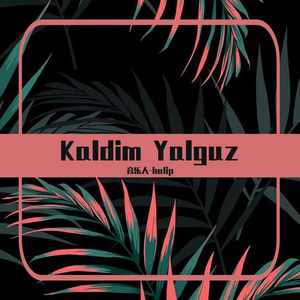 kaldim yalguz