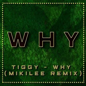 Tiggy - Why (MIKILEE Remix)