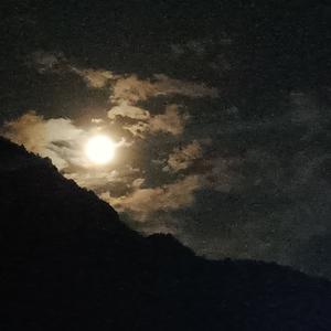 茶不凉（prod by Scorpion）