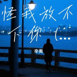 怪我放不下你