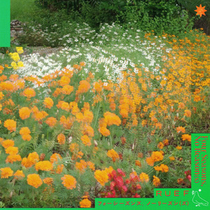 Four Seasons No Reason (s)