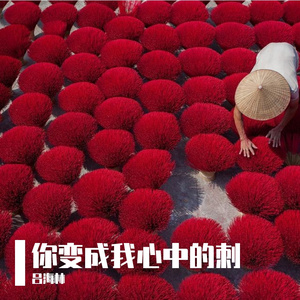 你变成我心中的刺