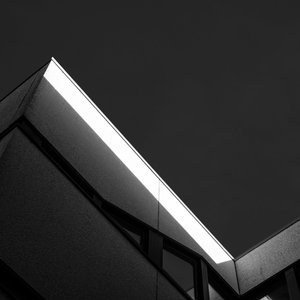 Not Alone but Lonely