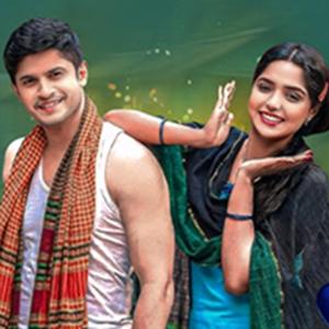 আমার সরল মনটা করলা চুরি
