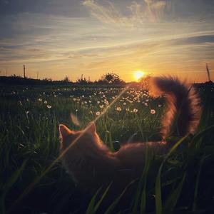 拨开天空的乌云（DJ阿布Remix）