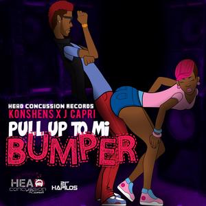 Pull up to Mi Bumper (Radio Edit)