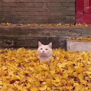 将故事写成我们