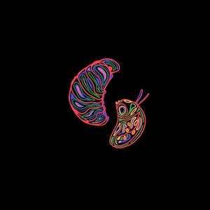Pillbug