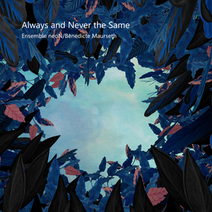 Contented Pelicans I