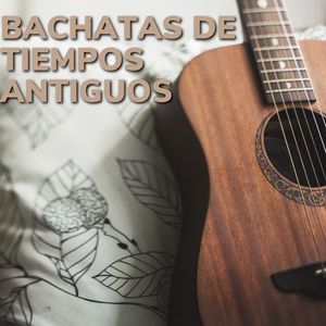 Bella Flor Encantadora.