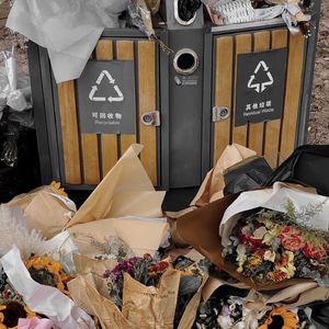 少年不懂浪漫 ft.银蓝Nebula