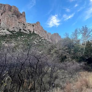 indëpendent (feat. Lil mo & Zzmoney)