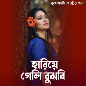 হারিয়ে গেলে বুঝবি