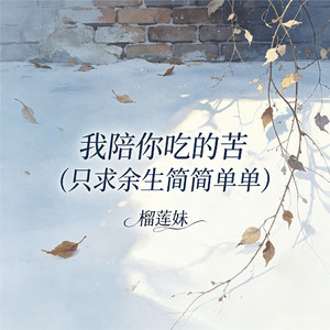 我陪你吃的苦(只求余生简简单单)