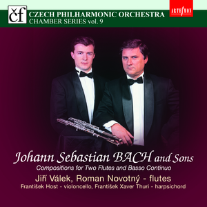 Trio in B Major:I. Allegro moderato