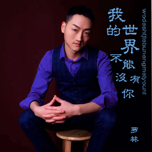 我的世界不能没有你