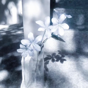 停·