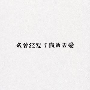 《我曾经发了疯的去爱》