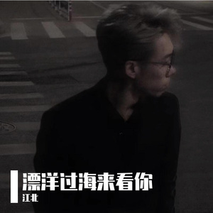 漂洋过海来看你