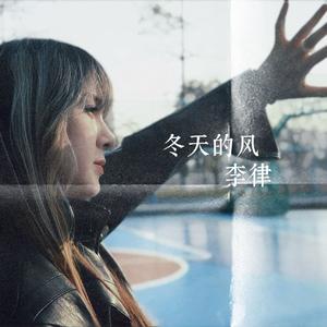 冬天的风