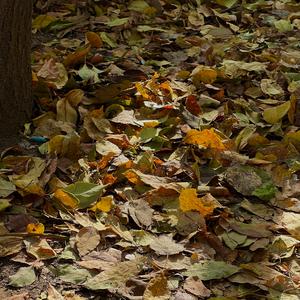 So Far Away(Vision of Le)