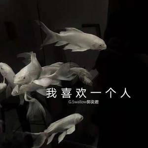 我 喜 欢 一 个 人
