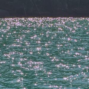 No Fundo do Bosque da Alma Enxergo Uma Arvore Manando Agua Parece Tão Longe Parece Tão Perto Nada Nos Separa Mais