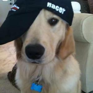 GameOver 游戏结束