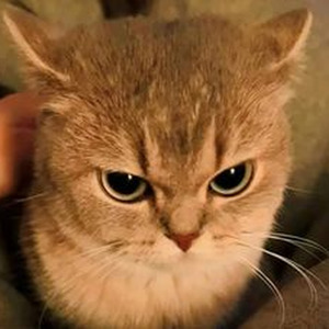 Eenie Meenie (slowed)