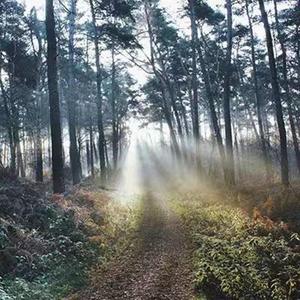 不分手的恋爱(Remix)