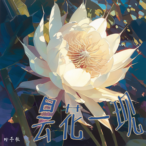 昙花一现 (柔和版)