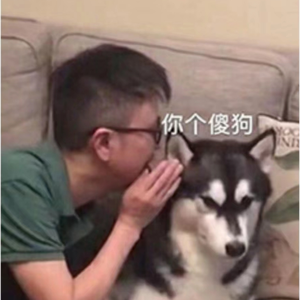 你给我思！（玉鸟熙音羽diss）