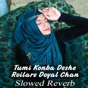 তুমি কোন বা দেশে রইলারে দয়াল চাঁন