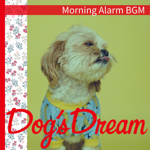 Wake Up and Make it Shine