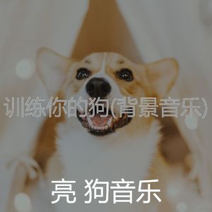 简单化(宠物午睡)