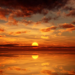 千树万树梨花开