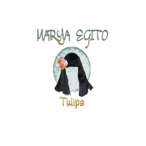 Tulipa