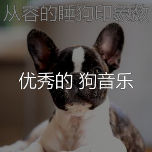 有趣训练犬情怀