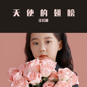 汪若馨《敬天敬地敬爹娘》.mp3
