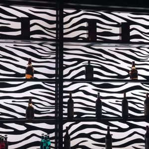 北京巷弄(Record)