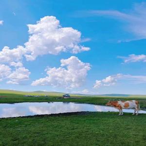 治愈心灵（ 钢琴）