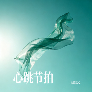 心跳节拍