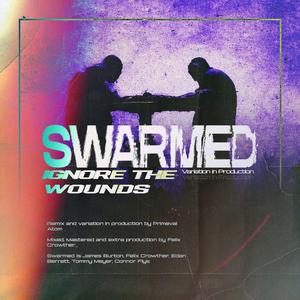 Ignore the Wounds (V.I.P)