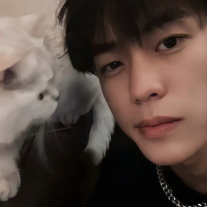 欢迎来到西双版纳 (现场版)