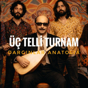 Üç Telli Turnam