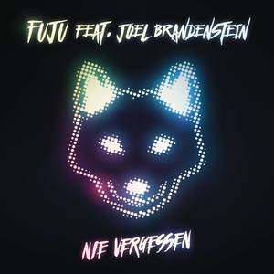 Nie Vergessen (MADIZIN & Fuju Mix)