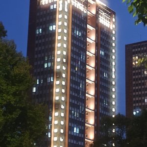 两条路