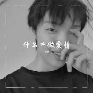 什么叫做爱情（翻自 利明）
