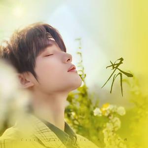 芥（翻自：丁程鑫）