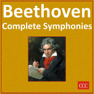Symphony No. 9 in D Minor, Op. 125: I. Allegro ma non troppo, un poco maestoso